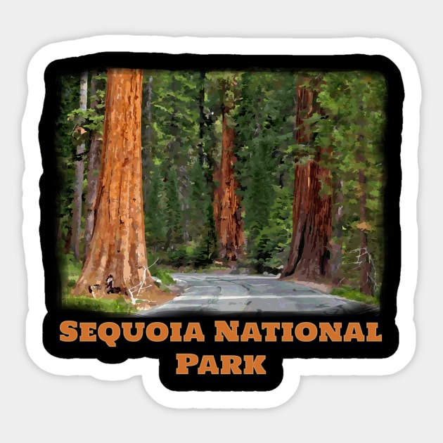 Sequoia National Park - Kings Canyon California Redwood trees Sticker by jdunster